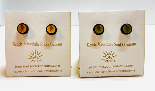 Beauties Adult Stud Earrings *